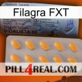 Filagra FXT 44